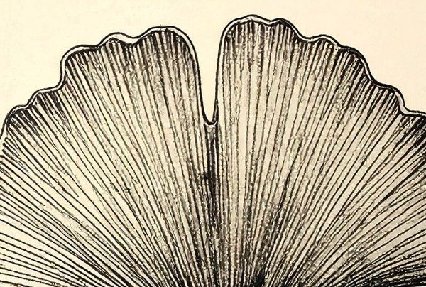 Miniatura de producto - 12