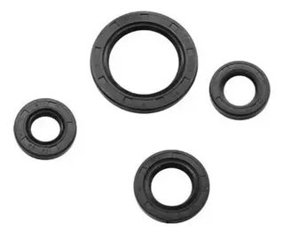 Producto - KIT RETENES DE MOTOR MOTOMEL SKUA 250 (X KIT) CHINOS