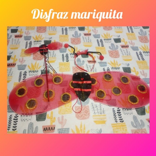 Producto - Disfraz mariquita
