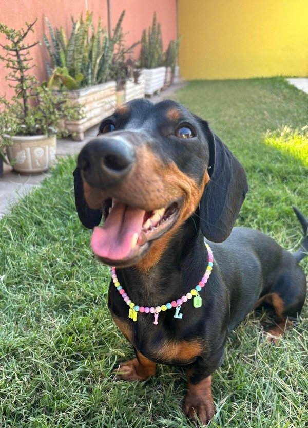 Producto - Collar con nombre