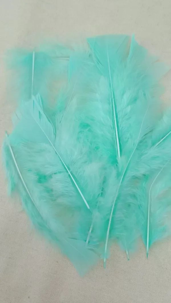 Producto - Plumas de gallo aqua