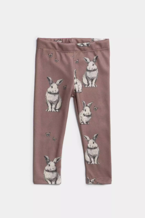 Producto - Legging Stp Bear CK