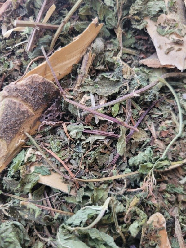 Producto - Sin alergias