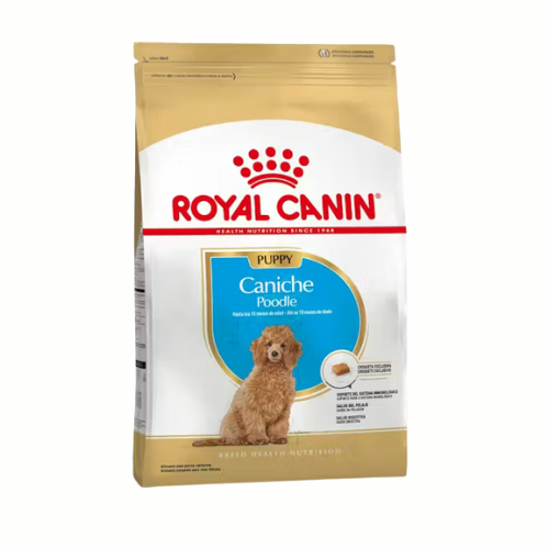 Producto - ROYAL CANIN POODLE PUPPY X 3KG