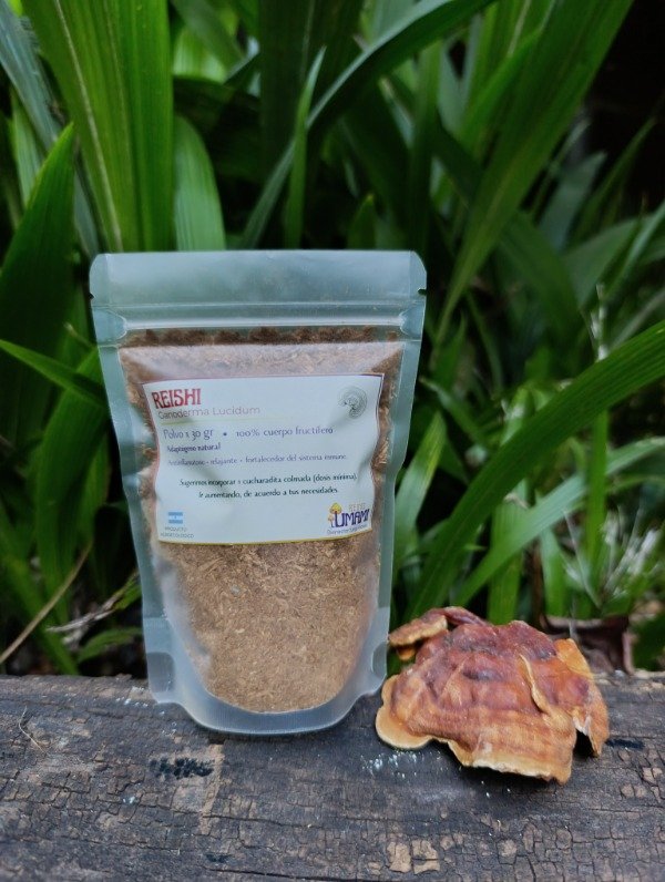 Producto - REISHI - polvo 30 gr