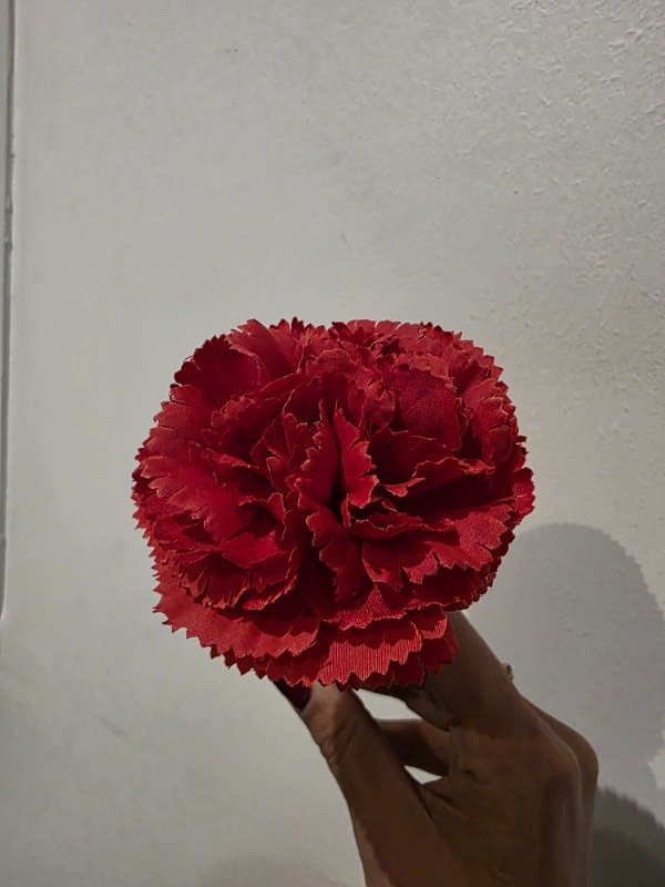 Producto - CLAVEL ROJO CON CABITO ESPAÑOL