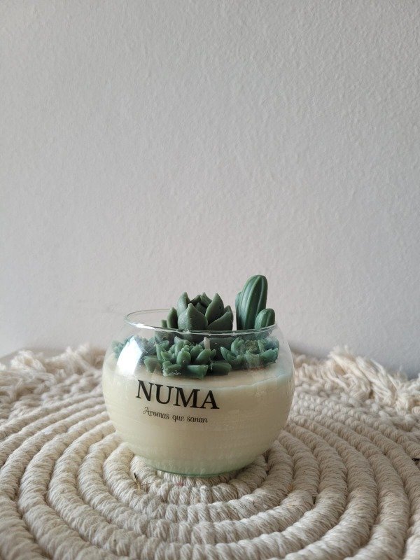 Producto - Pecera mini terrario
