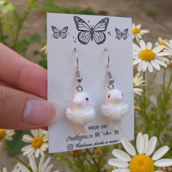 Producto - Aritos foquitas