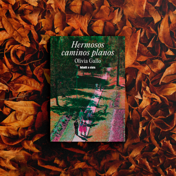 Producto - Hermosos caminos planos - Olivia Gallo