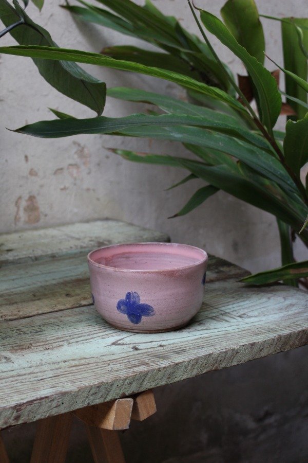 Producto - Bowl Frutilla M - 0