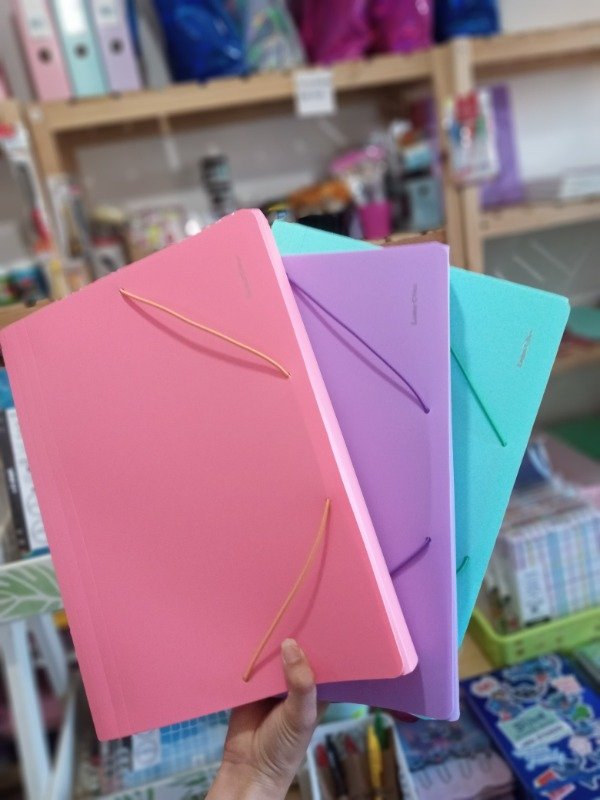 Producto - Clasificadores A4 12 divisiones