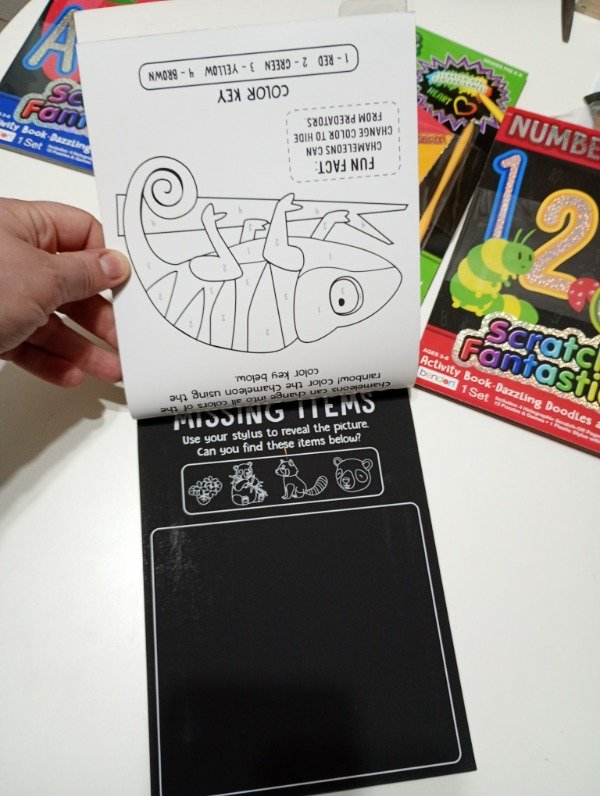 Producto - Libro de actividades con hojas para raspar. 12 hojas con actividades. ANIMALES - 2