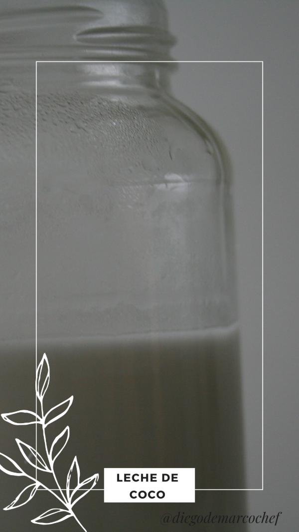 Producto - RECETARIO DIGITAL de LECHES VEGETALES - 5