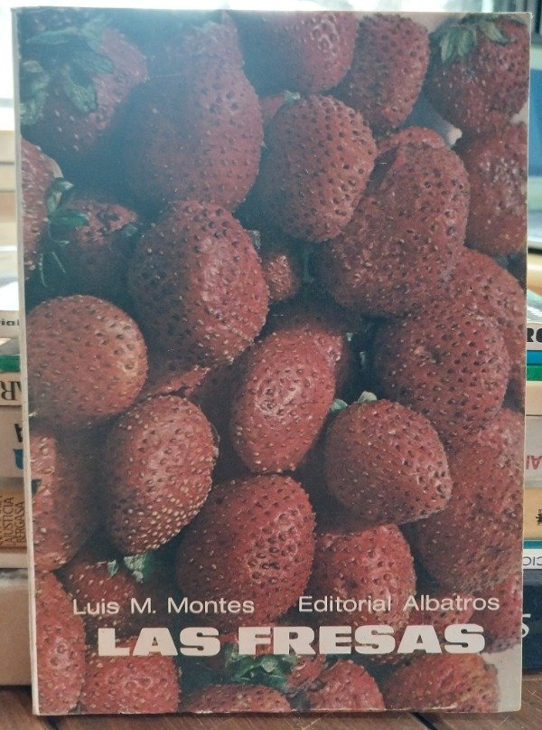Producto - Las fresas MONTES ALBATROS