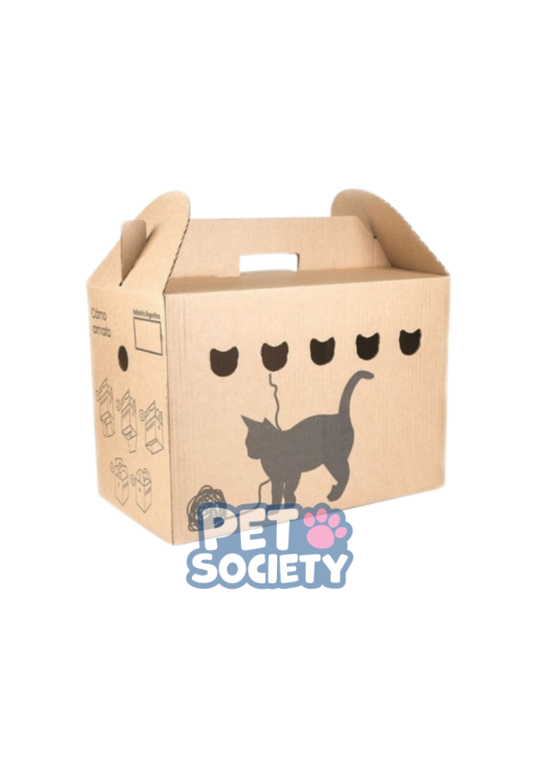 Producto - TRANSPORTADORA DE CARTON