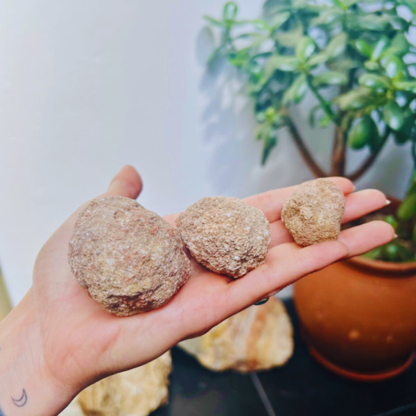 Producto - Geodas Sorpresa de la Patagonia