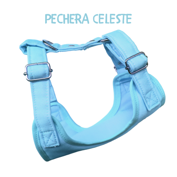 Producto - Pechera CELESTE