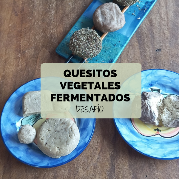 Producto - Quesos Vegetales Fermentados