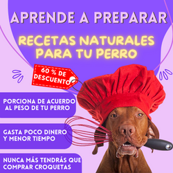 Producto - Cocinero experto para tu perro en 1 día