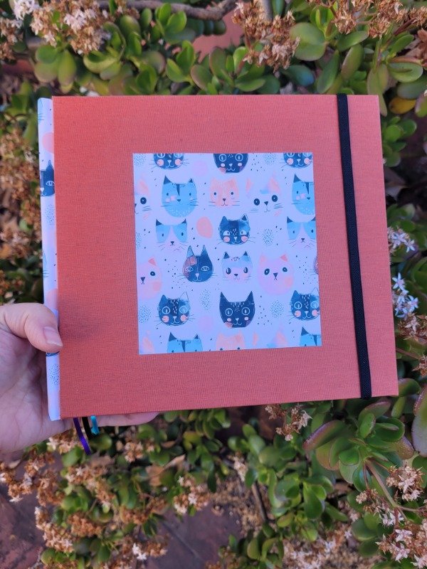 Producto - Gatitos en ventana