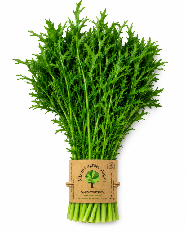 Producto - Atado de Mizuna Agroecológica