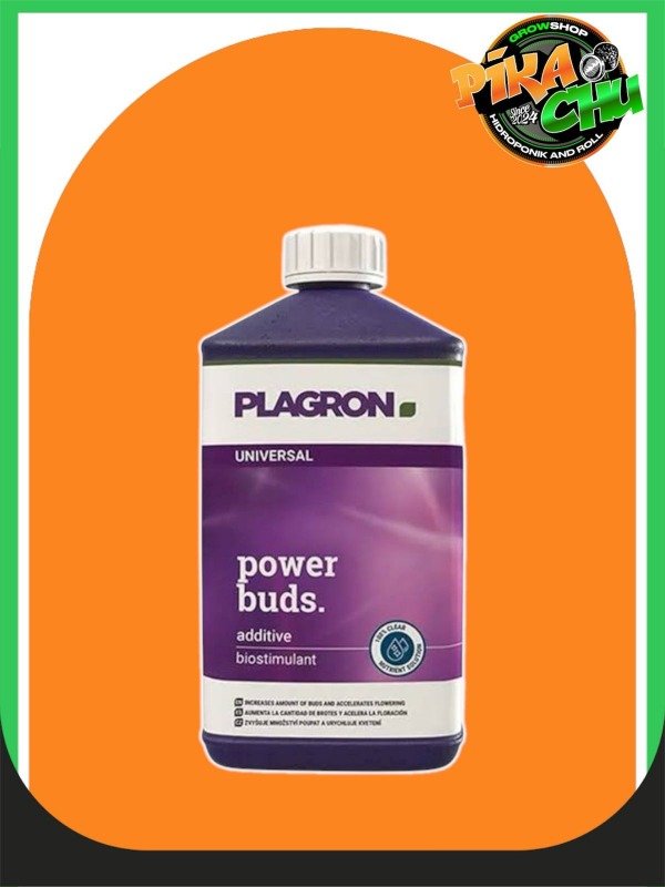 Producto - POWER BUDS