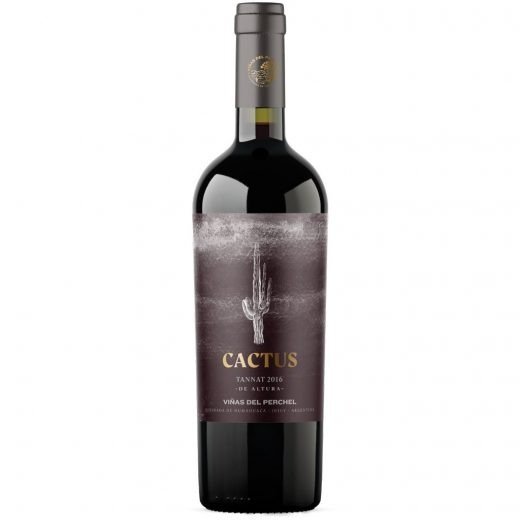 Producto - Cactus Tannat de altura