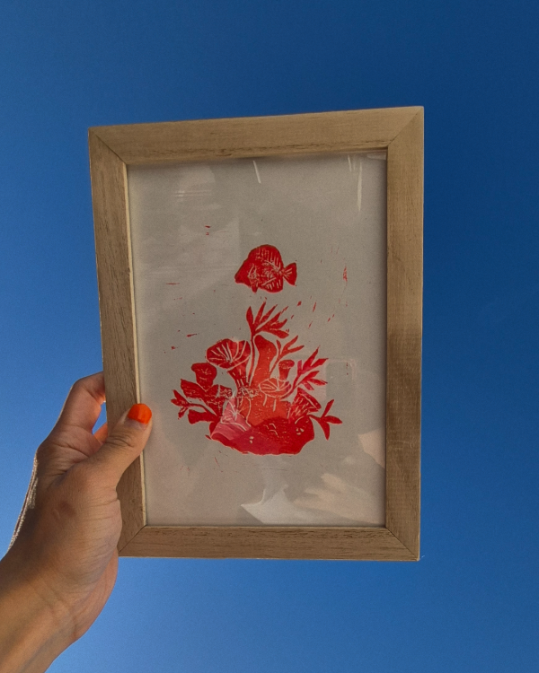 Producto - Coral
