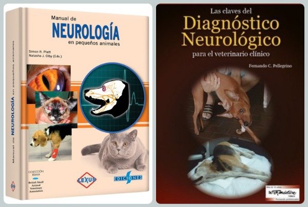 Producto - Manual de Neurología + Claves para Diagnóstico Neurológico