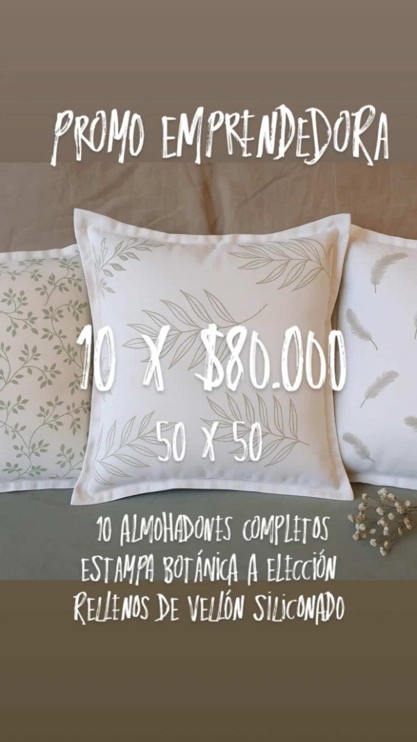 Producto - PROMO EMPRENDORA 10 ALMOHADONES 50X50