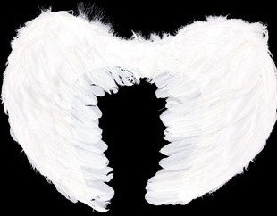 Producto - ALAS DE ANGEL CON PLUMAS BLANCA 44X35CM