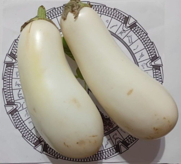 Producto - BERENJENA BLANCA