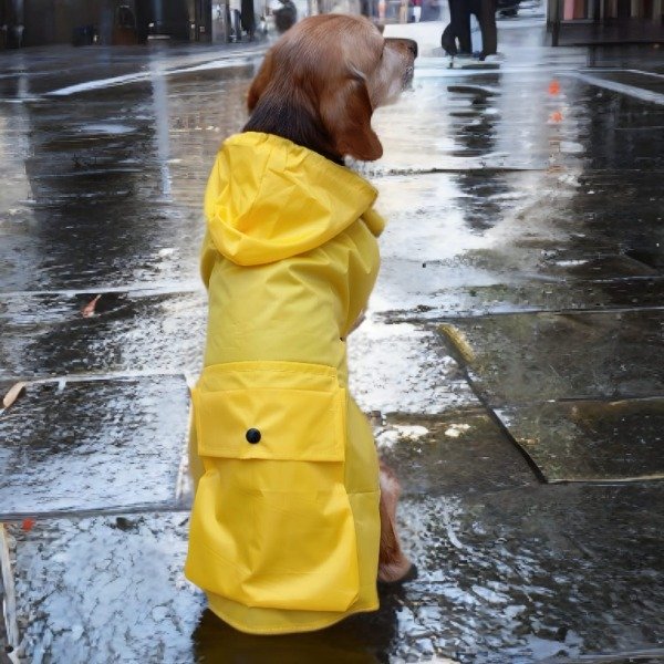 Producto - Capa de lluvia