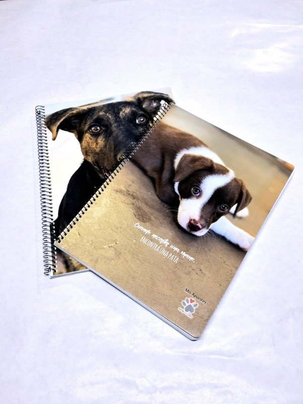 Producto - Cuaderno A4 Mis Apuntes T/F Esp 80 H