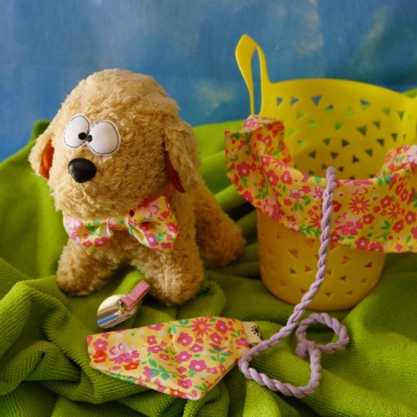 Producto - Caniche + accesorios