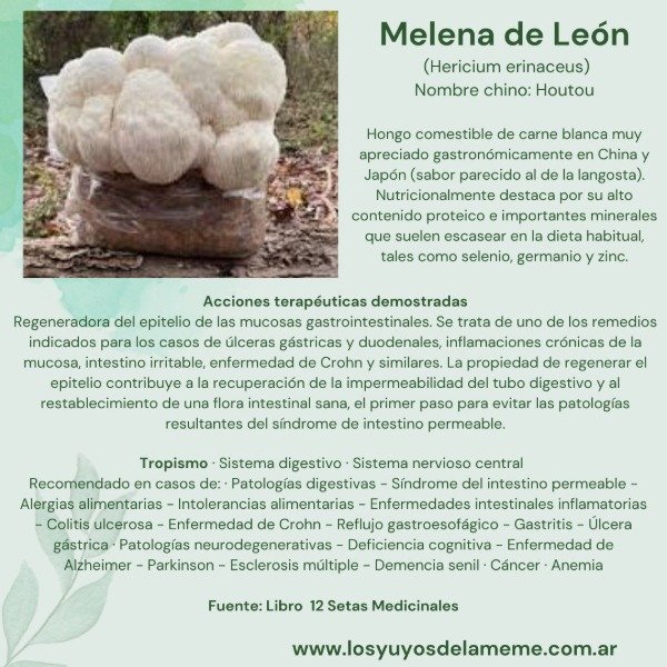 Miniatura de producto - 8