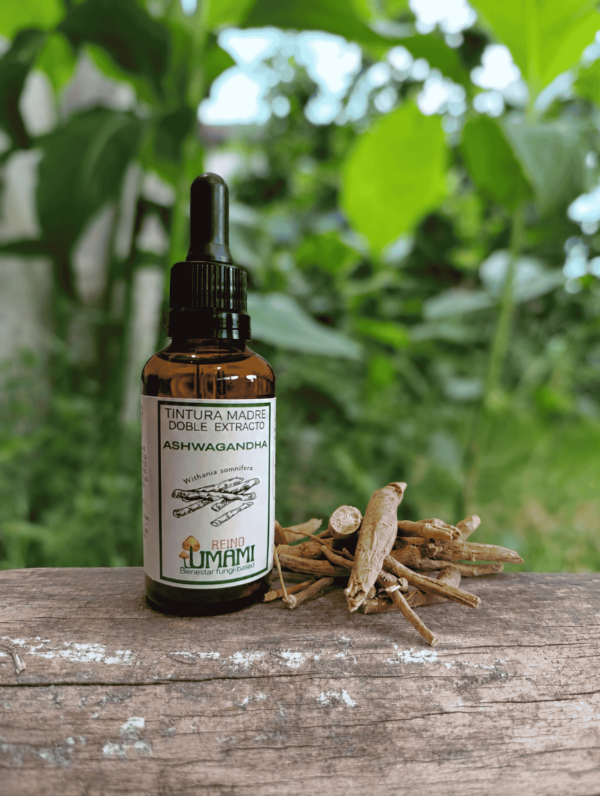 Producto - ASHWAGANDHA - doble extracto 50 ml