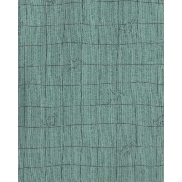 Producto - PACK CARTERS 5 BODYS DINOSS - 1