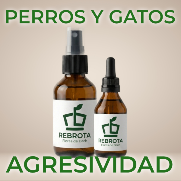 Producto - Agresividad - Perros y Gatos
