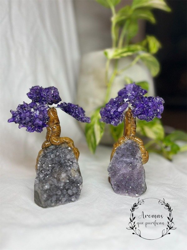 Producto - ARBOL DE AMATISTA CHICO 17 CM
