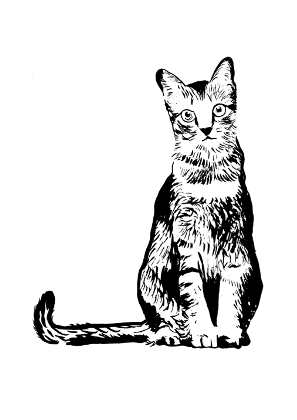 Producto - Iman para heladera diseño de gatito mirando atentamente