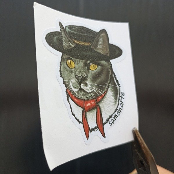 Producto - Sticker 112 - Gato gaucho de las pampas