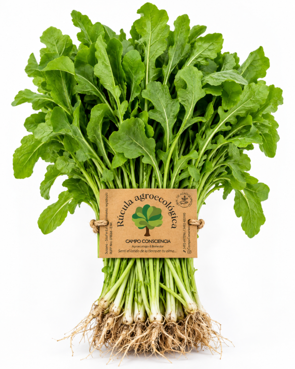 Producto - Rúcula Agroecológica - Presentación Atado