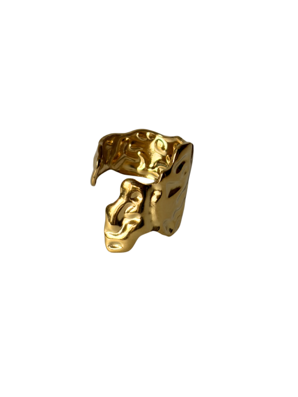 Producto - Anillo Chapa