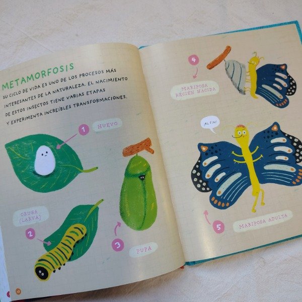 Producto - Maravillosas mariposas - 3