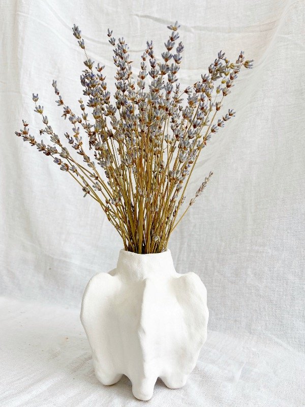 Producto - Patagonia