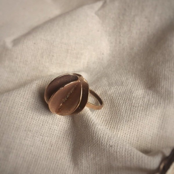 Producto - carnivora rose