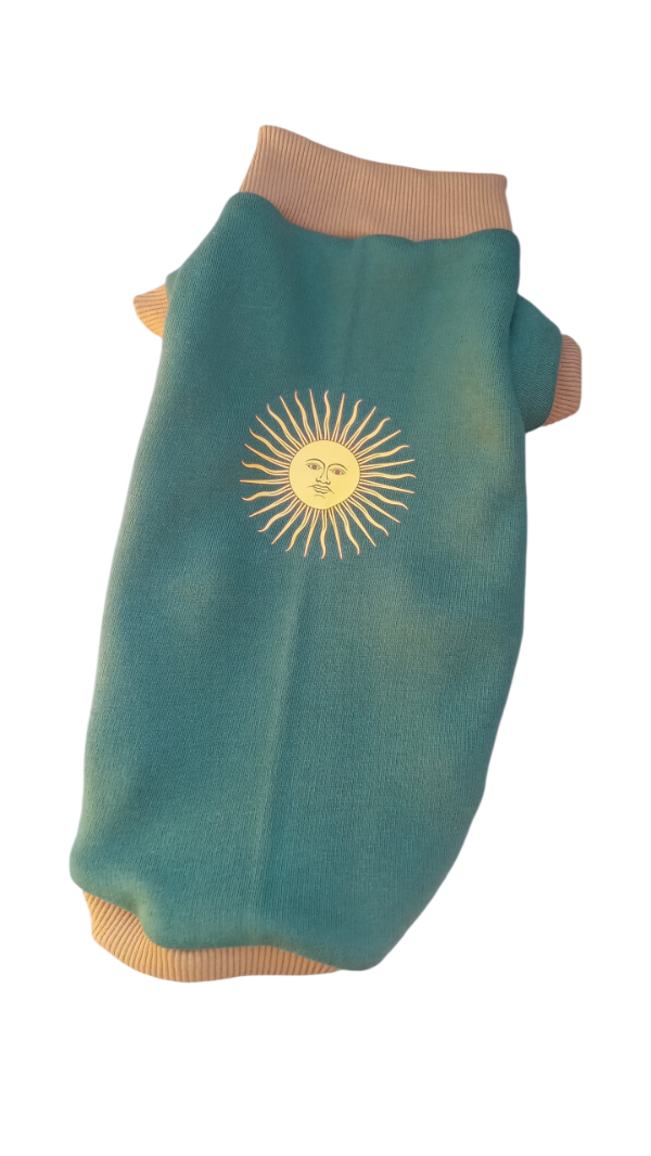 Producto - Buzo sol patrio frisa verde