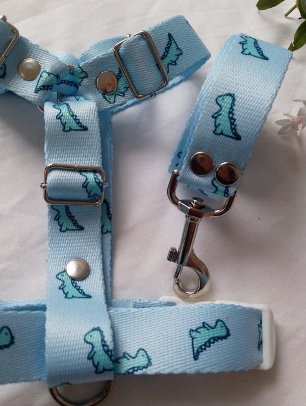 Producto - Conjunto Dino Baby Blue - 5