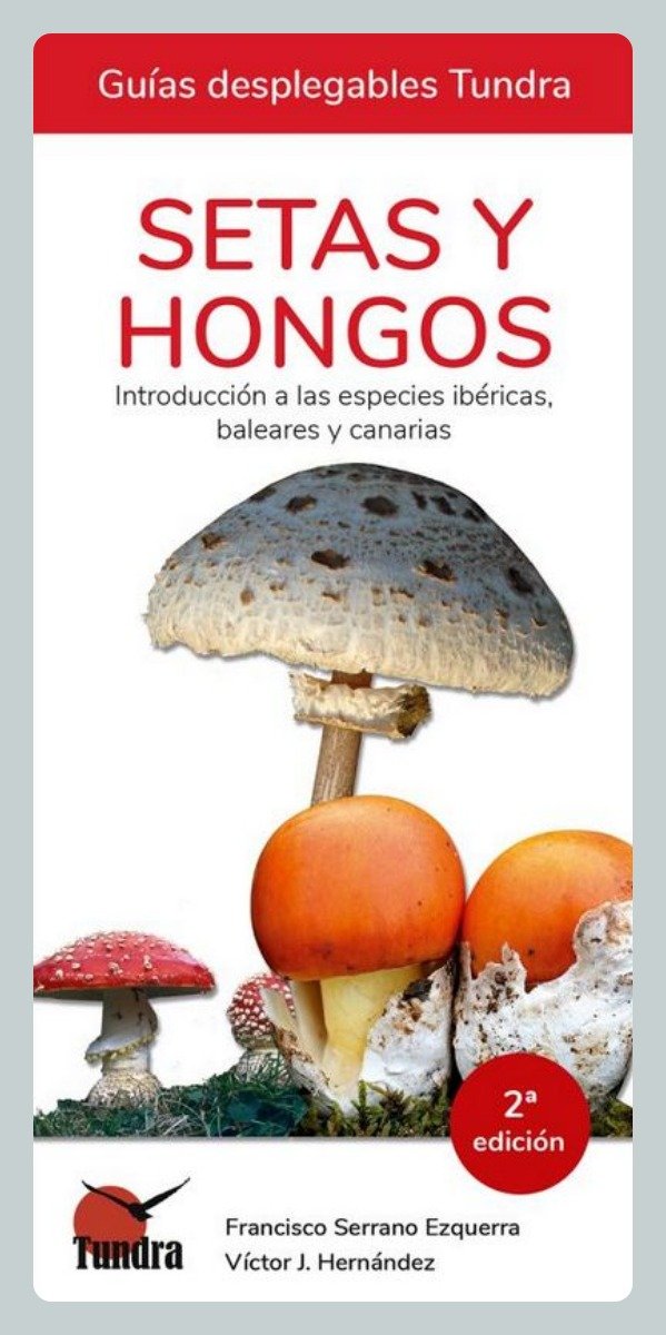 Producto - Serrano: Setas y Hongos